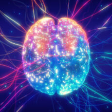 Brain mapping